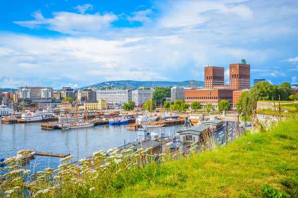 Croisière dans le Fjord d'Oslo en été