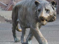 Le tigre d'Oslo